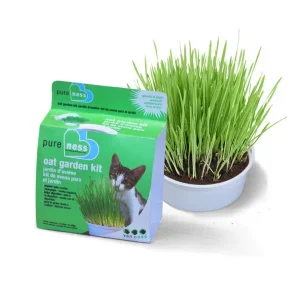 Van Ness Plastics Pureness Oat Garden Kit 4oz
