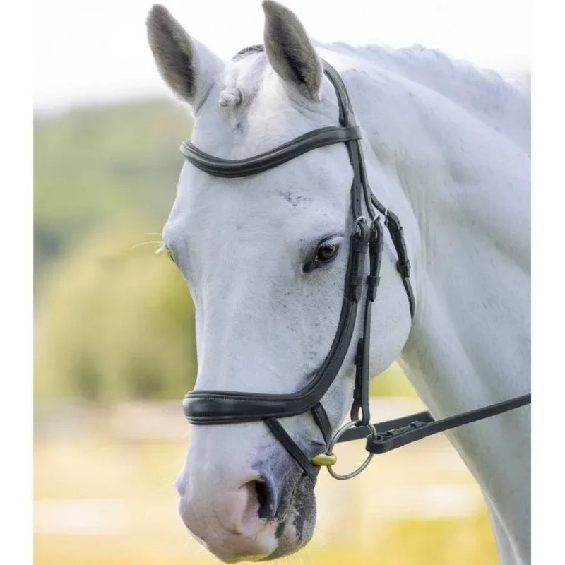 Velociti Ergonomic Curved Flash Bridle - Image 2