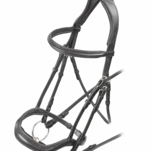 Velociti Ergonomic Flash Bridle