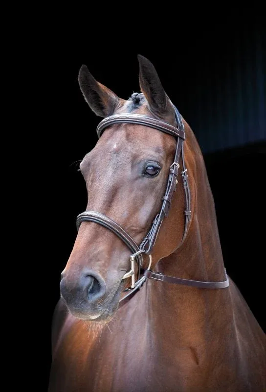 Velociti Hunter Bridle - Image 2