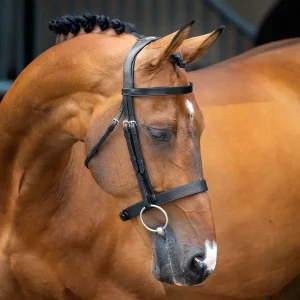Velociti Lusso Hunter Caveson Bridle
