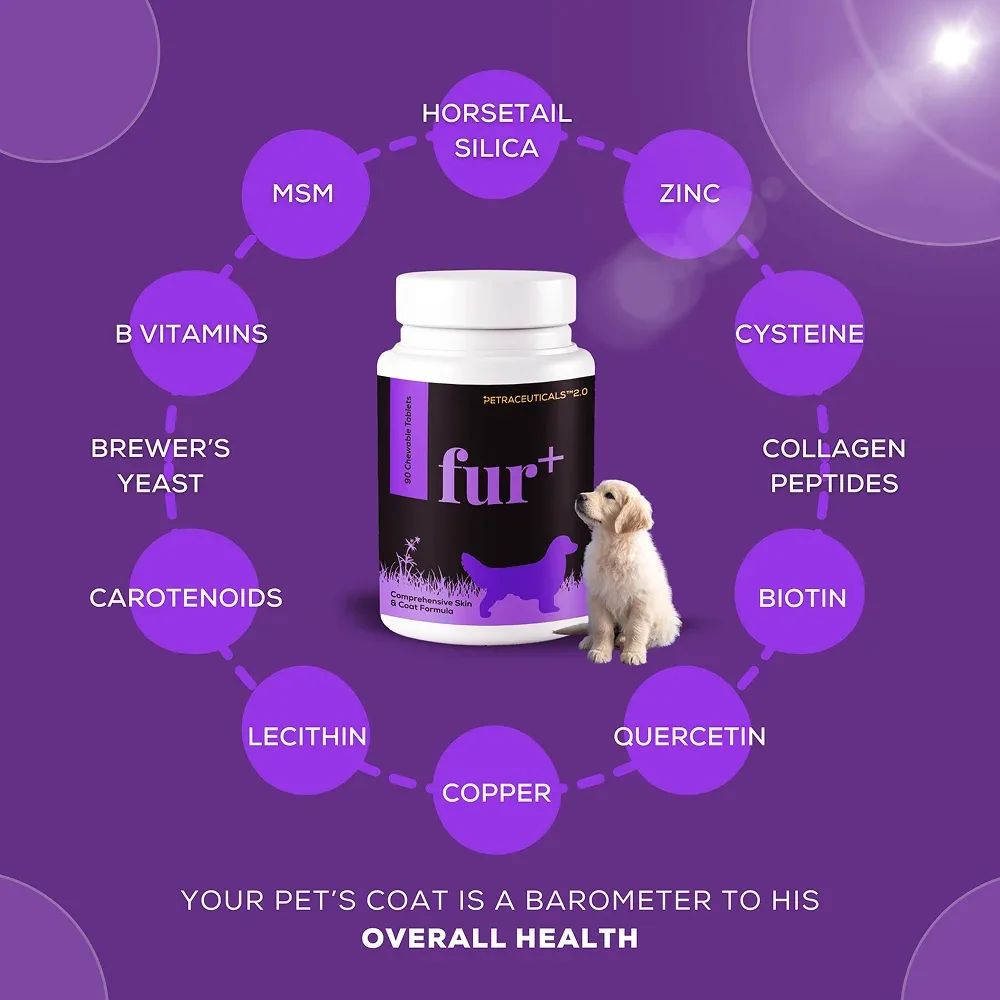 Venttura Fur Plus Chewable Skin & Coat Supplement Tablets for Dogs - Image 2