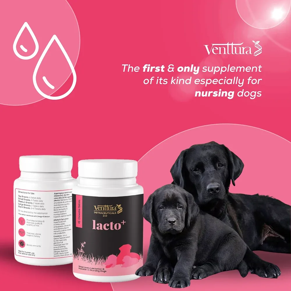Venttura Lacto Plus Milk Boosters Chewable Tablets for Dogs - Image 2