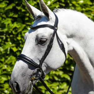 Verdura Anatomical Snaffle Bridle Black
