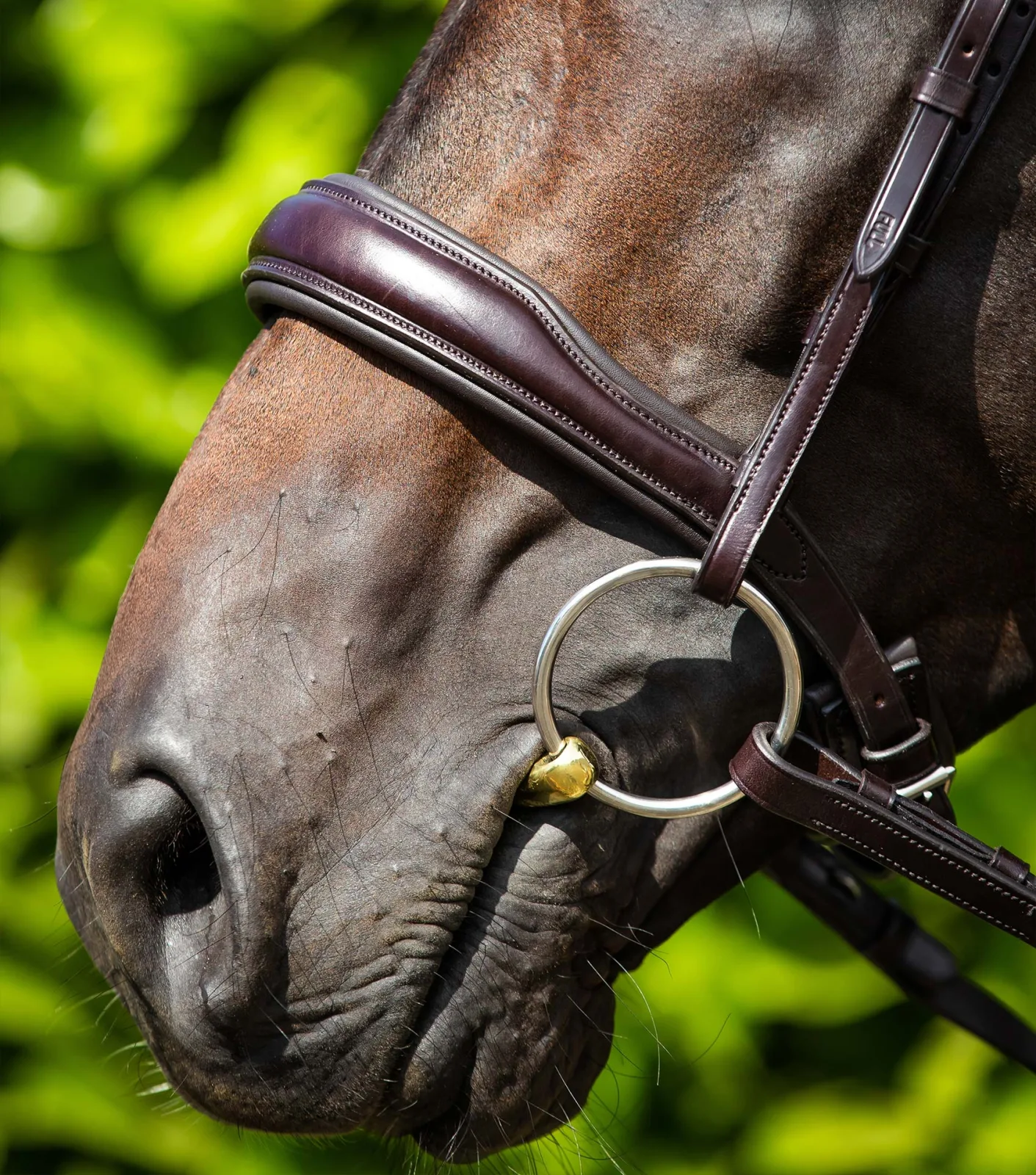 Verdura Anatomical Snaffle Bridle Brown - Image 2