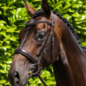 Verdura Anatomical Snaffle Bridle Brown