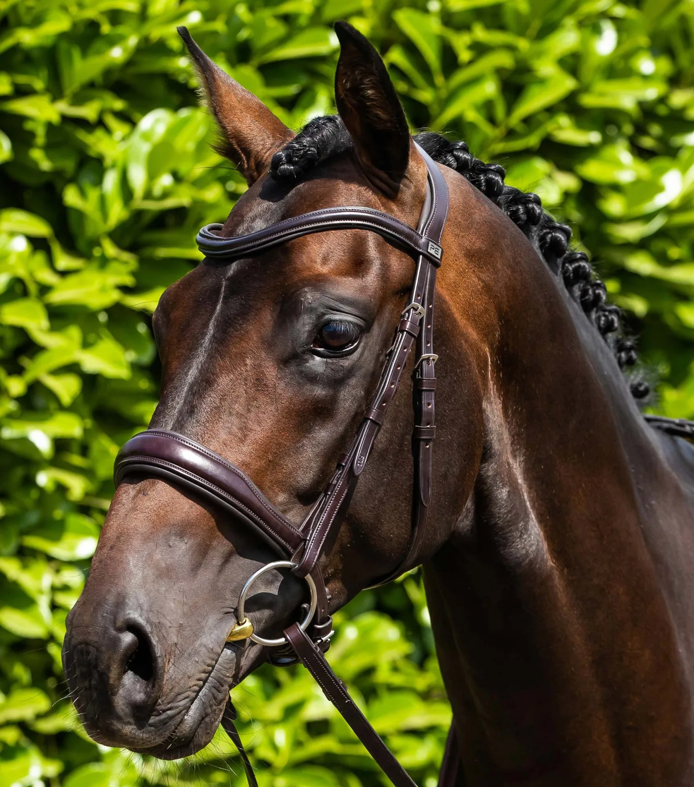Verdura Anatomical Snaffle Bridle Brown