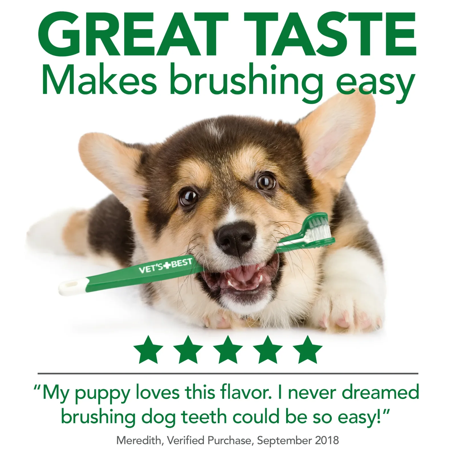 Vet's Best Dental Care Kit with Toothbrush and Gel 3.5oz - Image 2