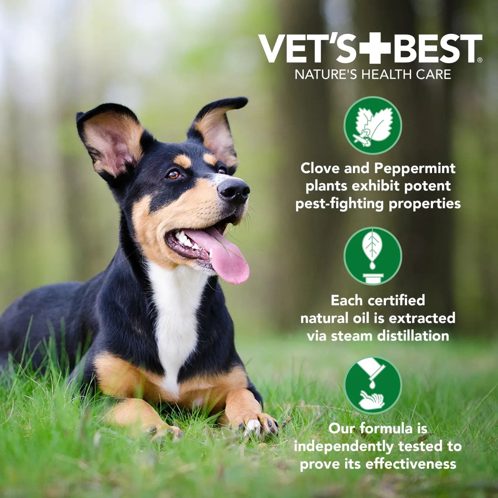 Vet's Best Flea and Tick Spot-On Small 4ct. - Image 2