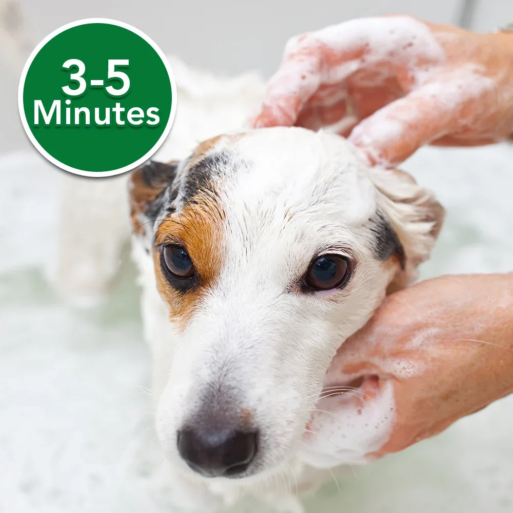 Vet's Best Oatmeal Medicated Shampoo 16oz - Image 2