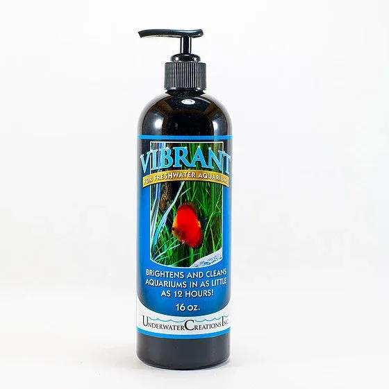 Vibrant Freshwater