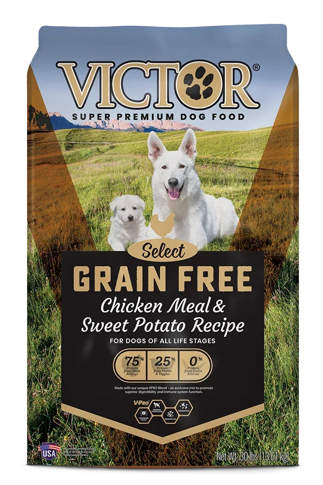 Victor Grain Free Chicken Meal & Sweet Potato Recipe Dry Dog Food