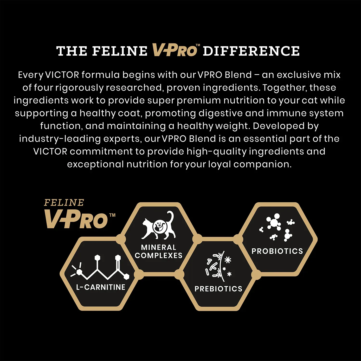 Victor Hi Pro Plus Active Cat & Kitten Dry Cat Food - Image 2