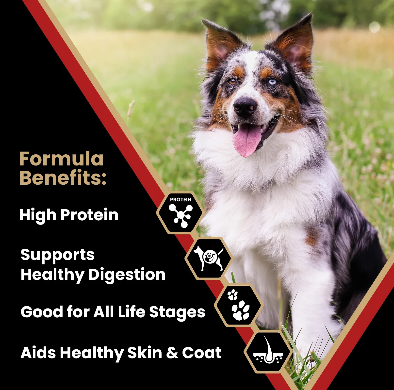 Victor Nutra Pro Dry Dog food, 5lb - Image 2