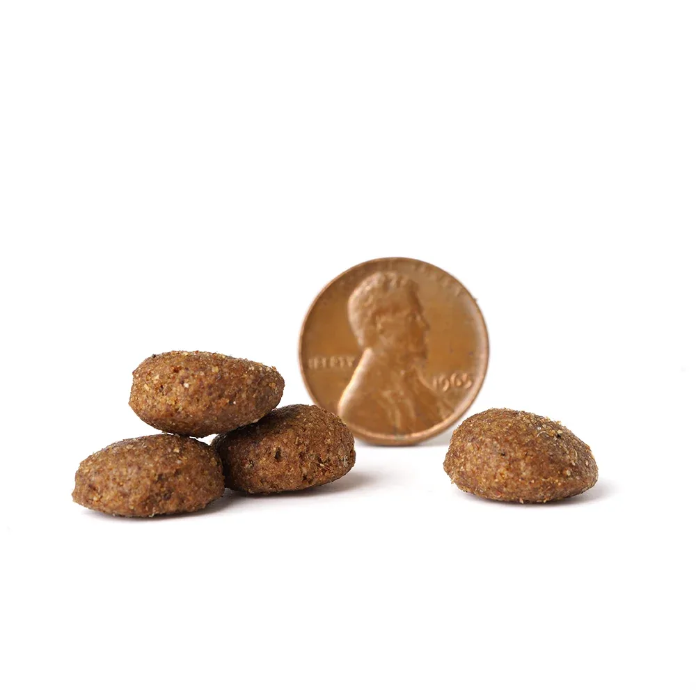 Victor Select Beef Meal & Brown Rice Formula Dry Dog Food - Image 2