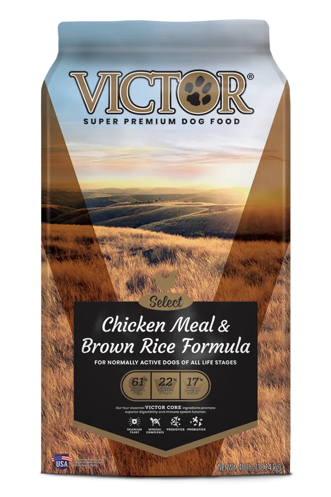Victor Select Chicken Meal & Brown Rice Formula Dry Dog Food, 5lb