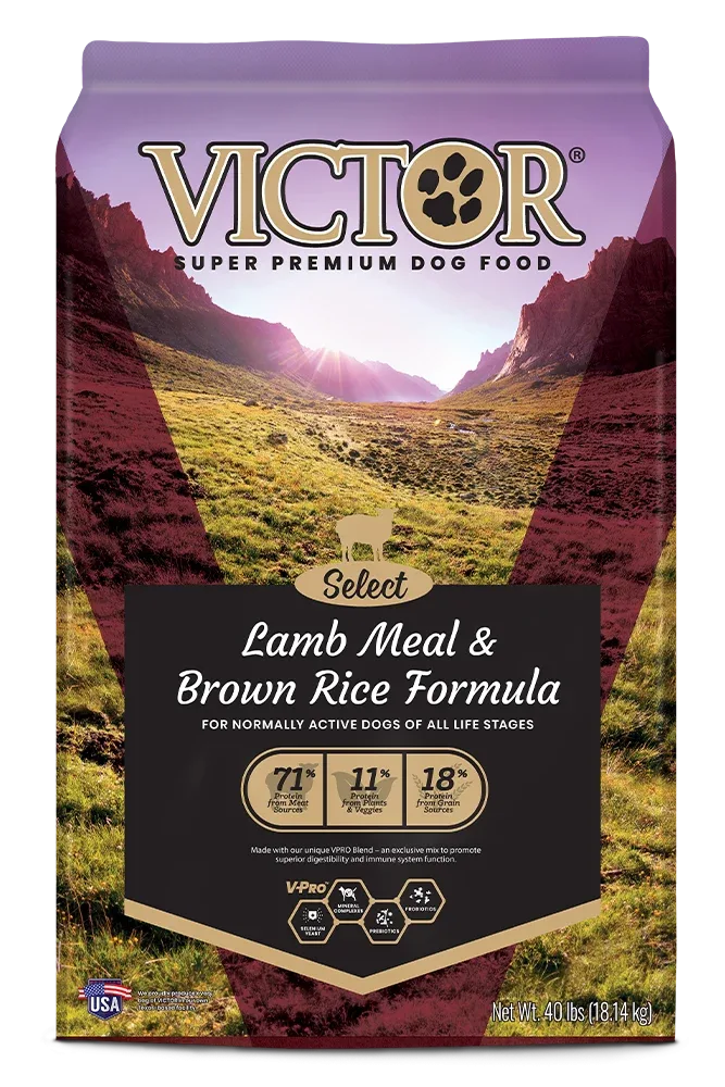Victor Select Lamb Meal & Brown Rice Formula Dry Dog Food