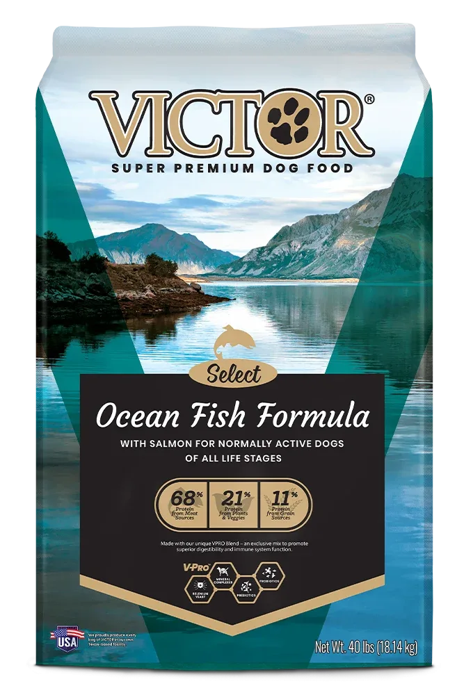 Victor Select Ocean Fish Formula Dry Dog Food