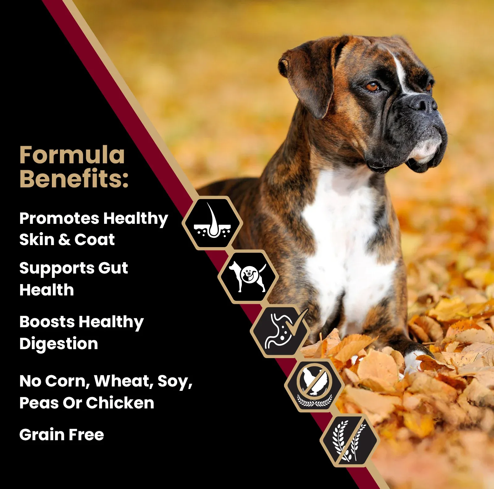 VICTOR Sensitive Skin and Stomach Grain Free Lamb Meal and Sweet Potato Recipe 30lb - Image 2