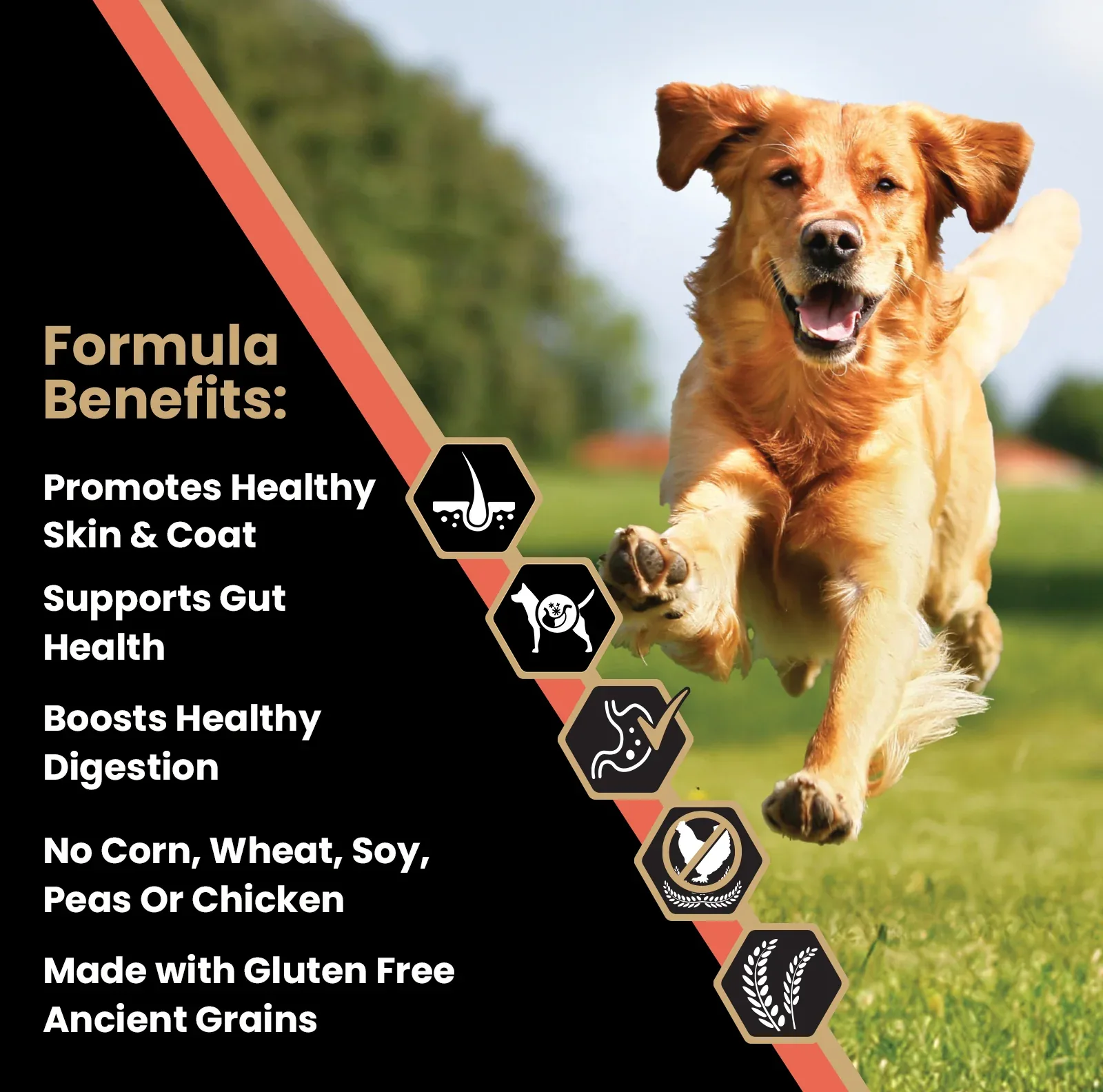 VICTOR Sensitive Skin and Stomach Salmon Meal and Brown Rice Recipe 30lb - Image 2