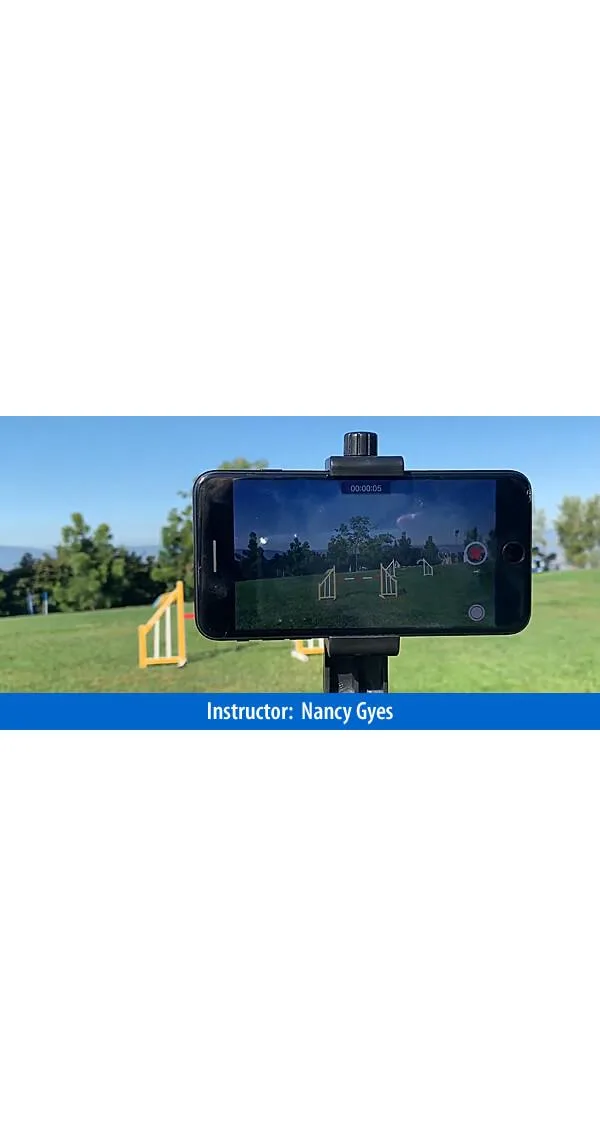 Videoing Yourself for Animal Training