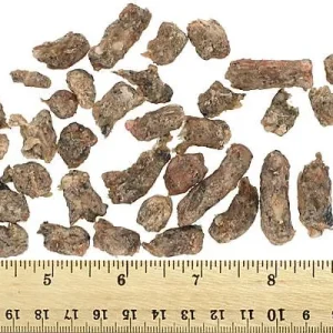 Vital Essentials Freeze-Dried Raw Treats