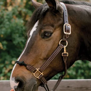 Walsh™ Rope Nose British Halter