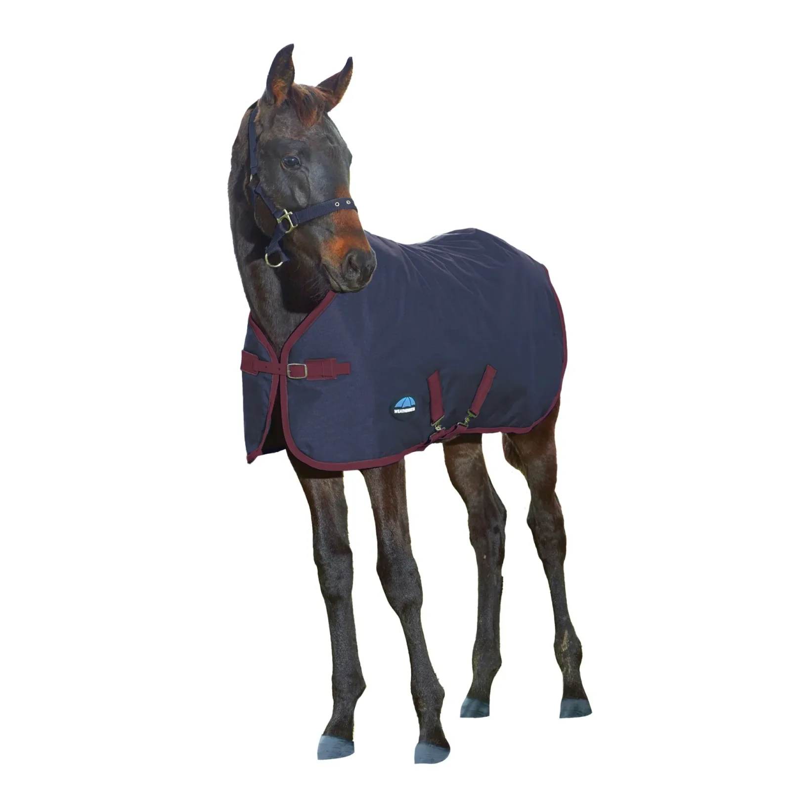 Weatherbeeta 1200D Foal Standard Neck 220g