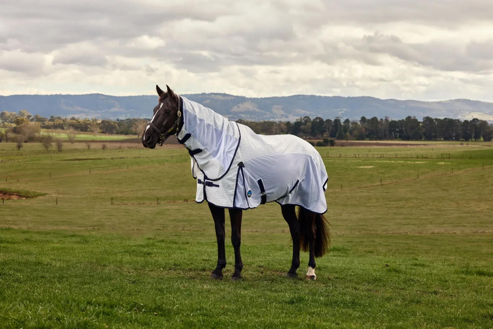 Weatherbeeta Airstream Detach-A-Neck Turnout Sheet - Image 2