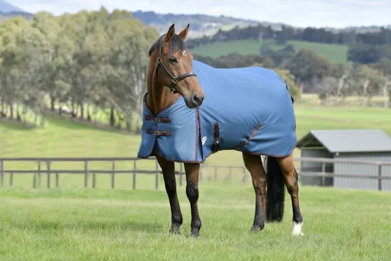 Weatherbeeta ComFiTec Classic Standard Neck Lite Plus Turnout - Image 2