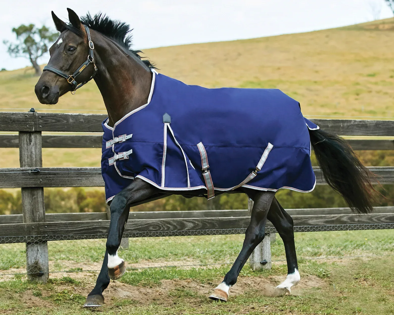 WeatherBeeta® ComFiTec™ Essential Standard Neck Heavyweight Turnout