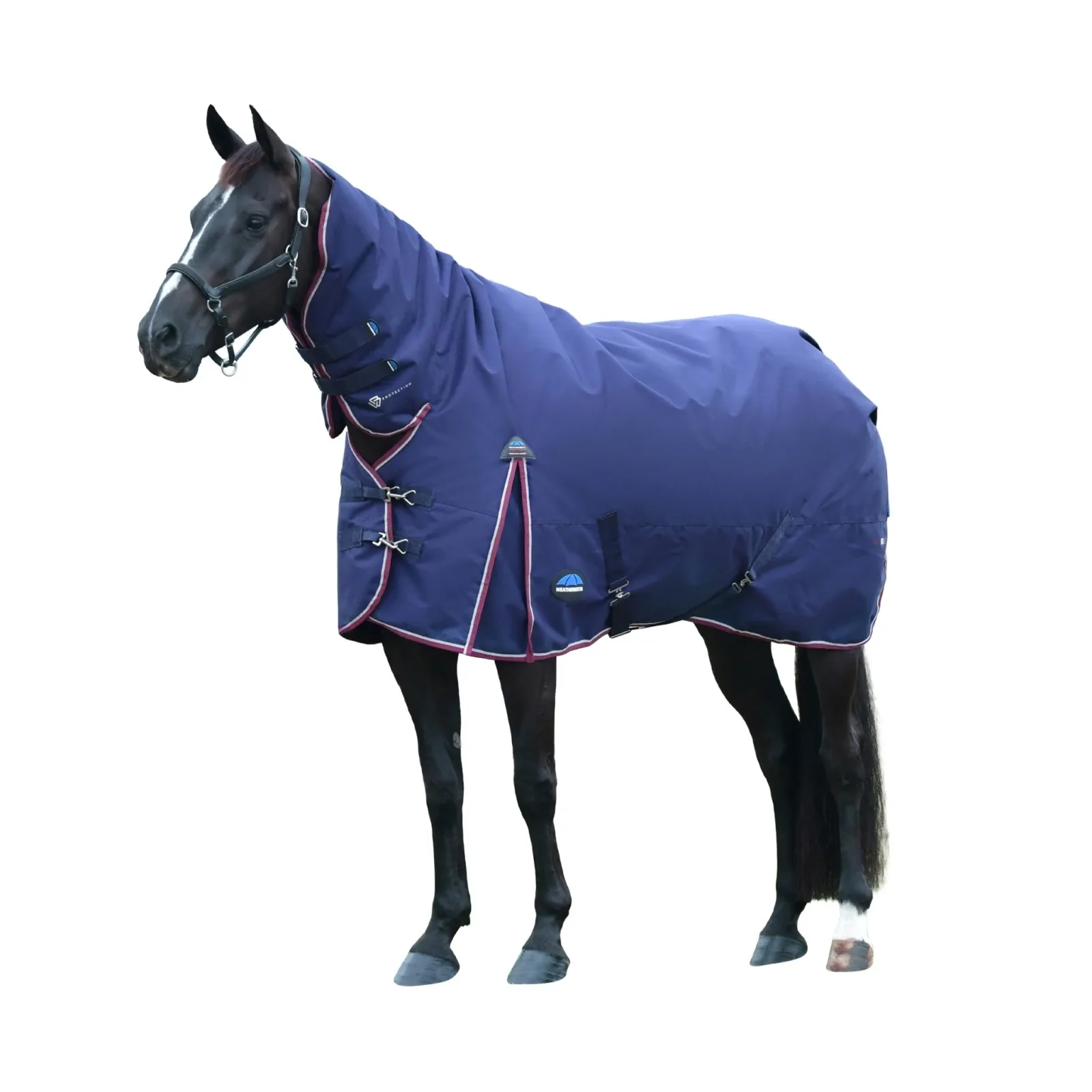 Weatherbeeta ComFiTec Essential Turnout Combo 50g - Image 2