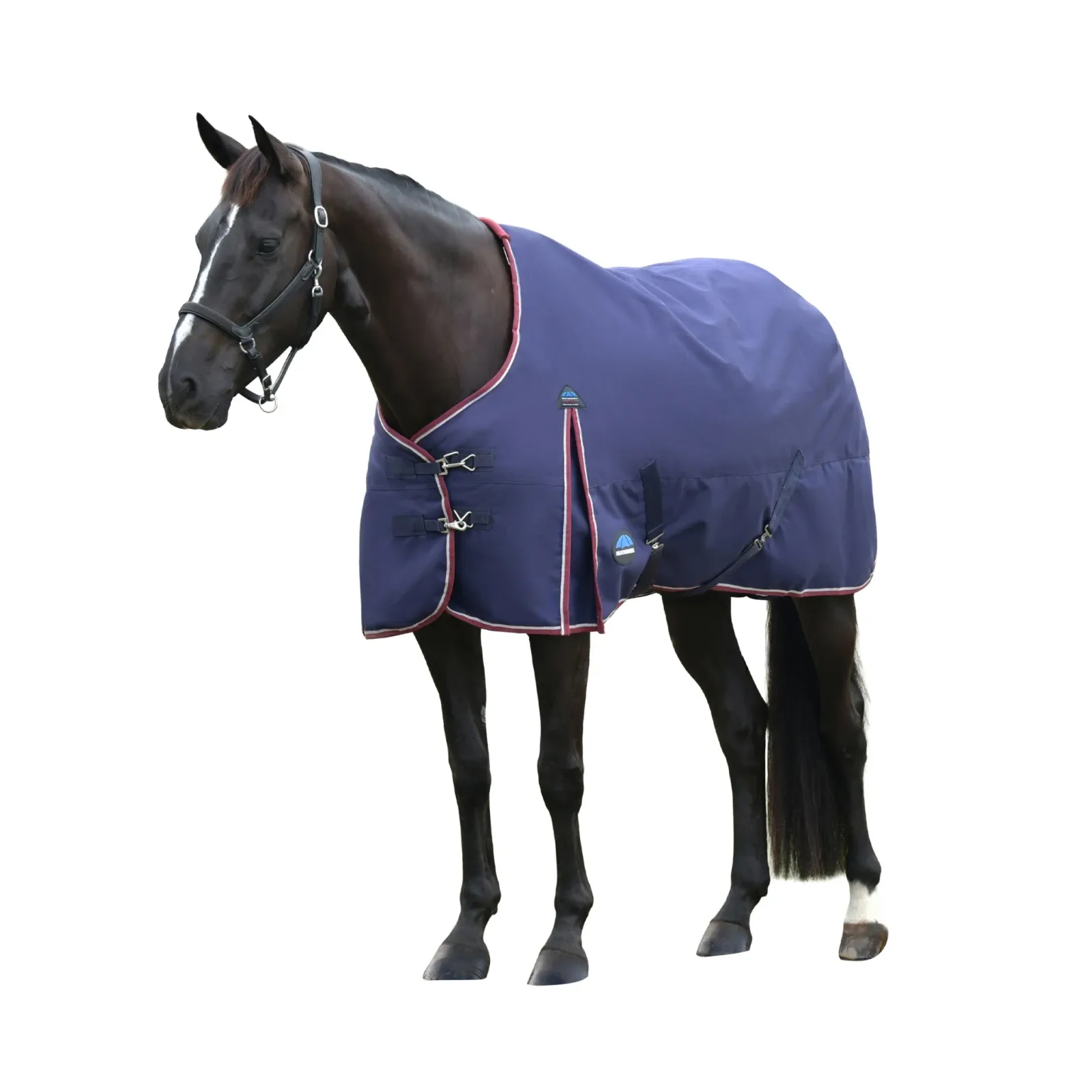 Weatherbeeta ComFiTec Essential Turnout Standard Neck 0g - Image 2