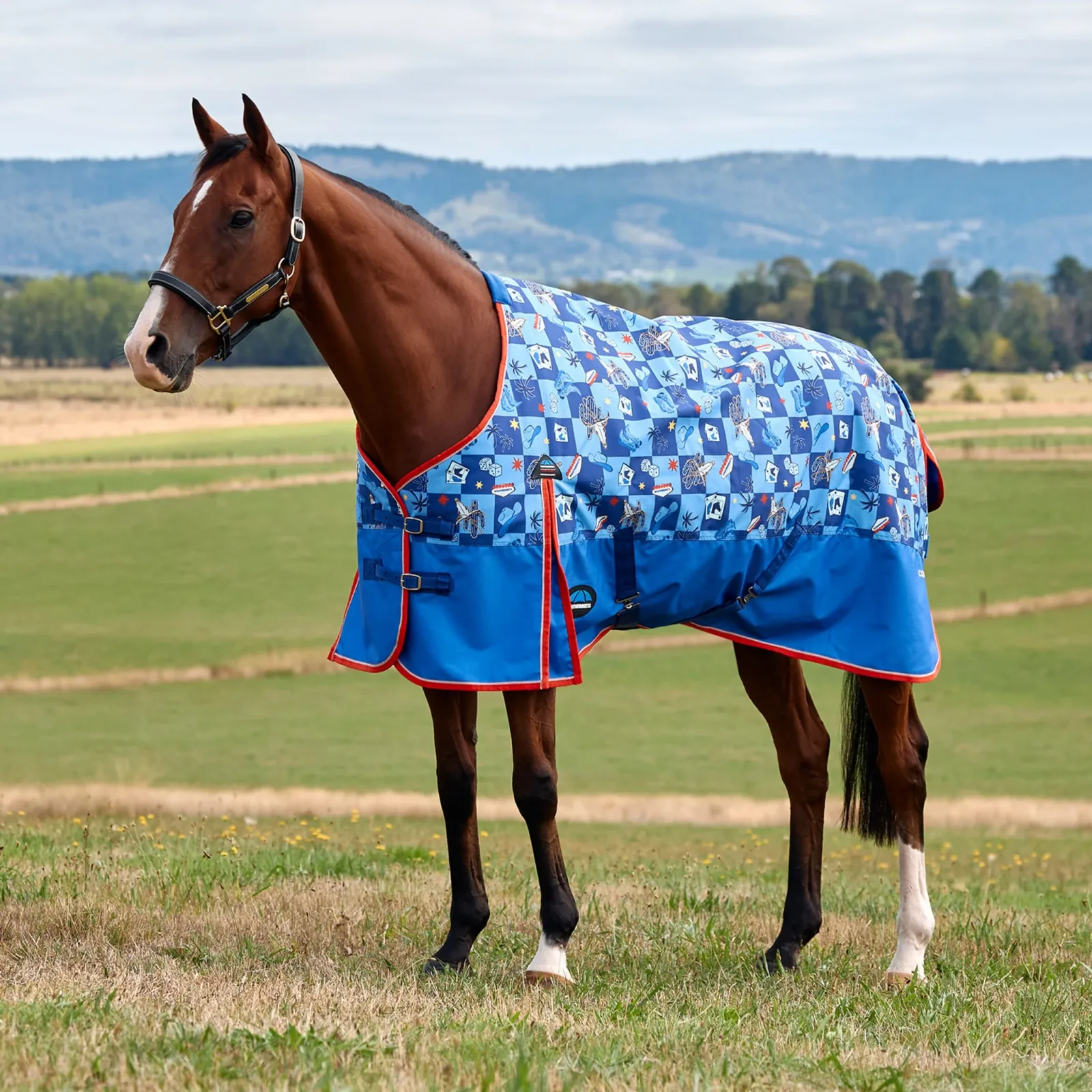 Weatherbeeta ComFiTec Frontier Turnout Standard Neck 220g - Image 2