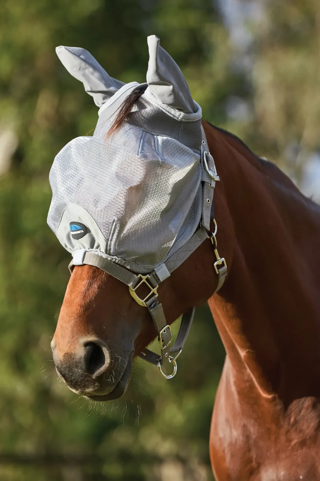 Weatherbeeta ComFiTec Hexi Shield Duo Fly Mask - Image 2