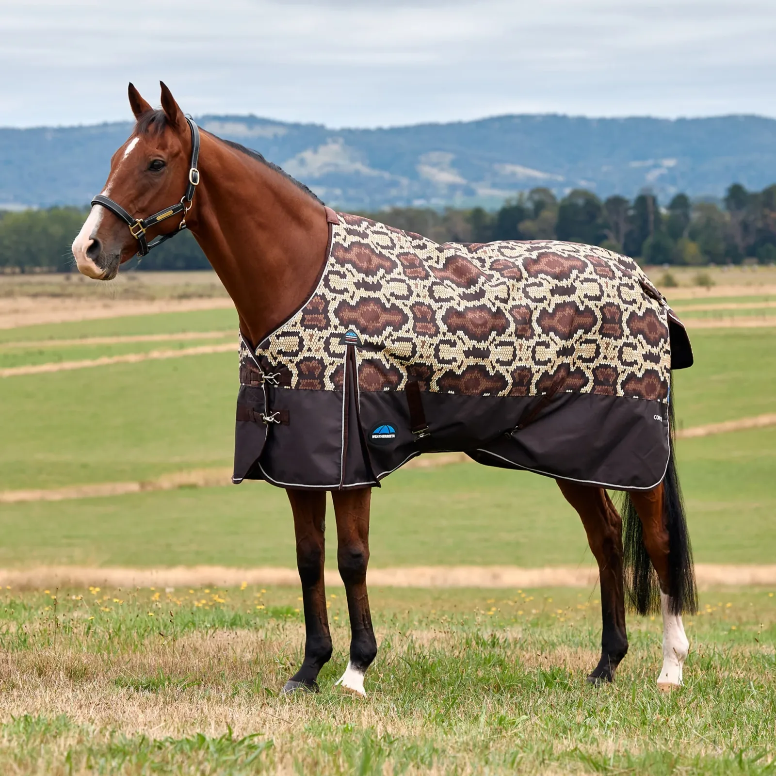 Weatherbeeta ComFiTec Legend Turnout Standard Neck 100g - Image 2