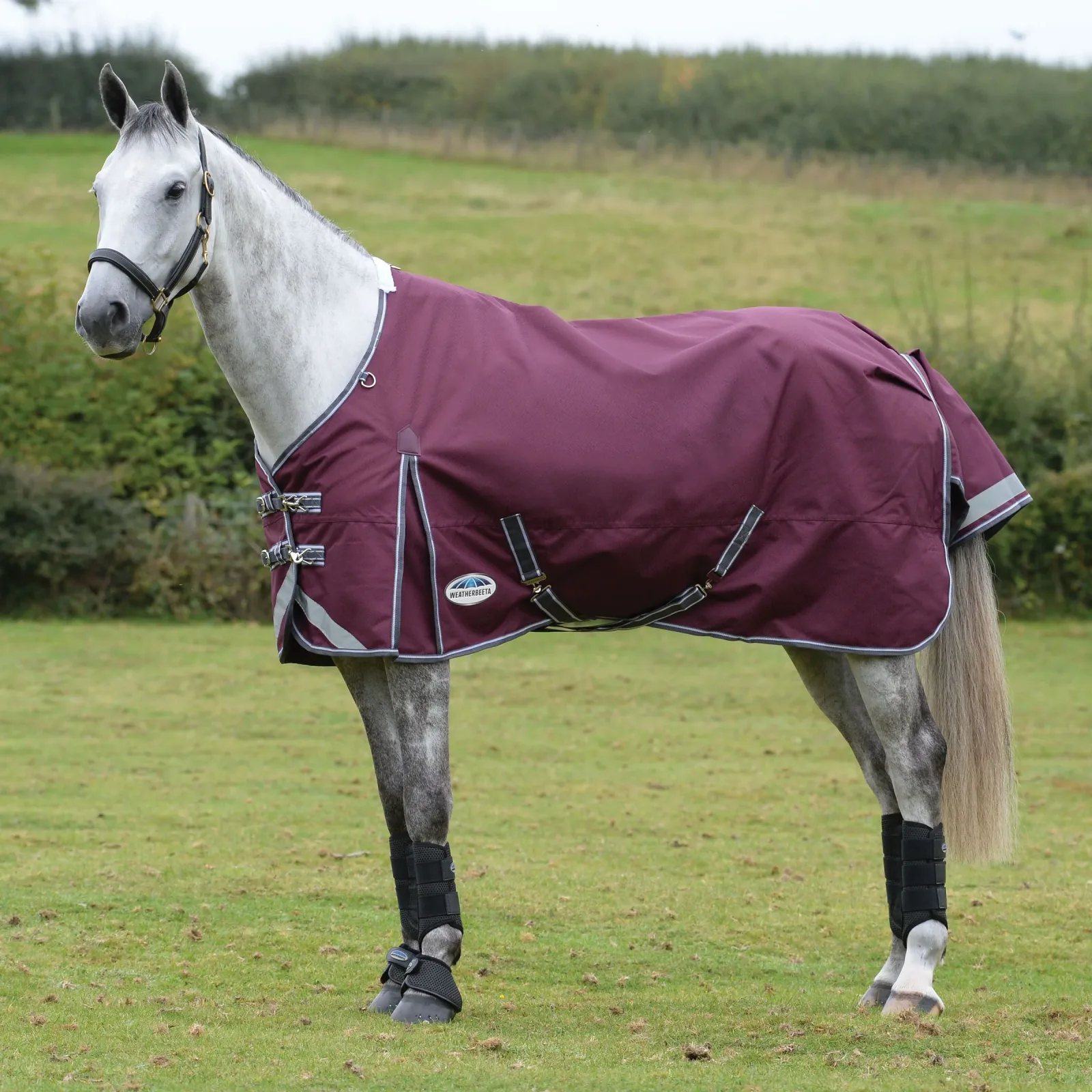 WeatherBeeta® ComFiTec™ Plus Dynamic II Detach-A-Neck Medium-Weight Turnout Blanket - Image 2
