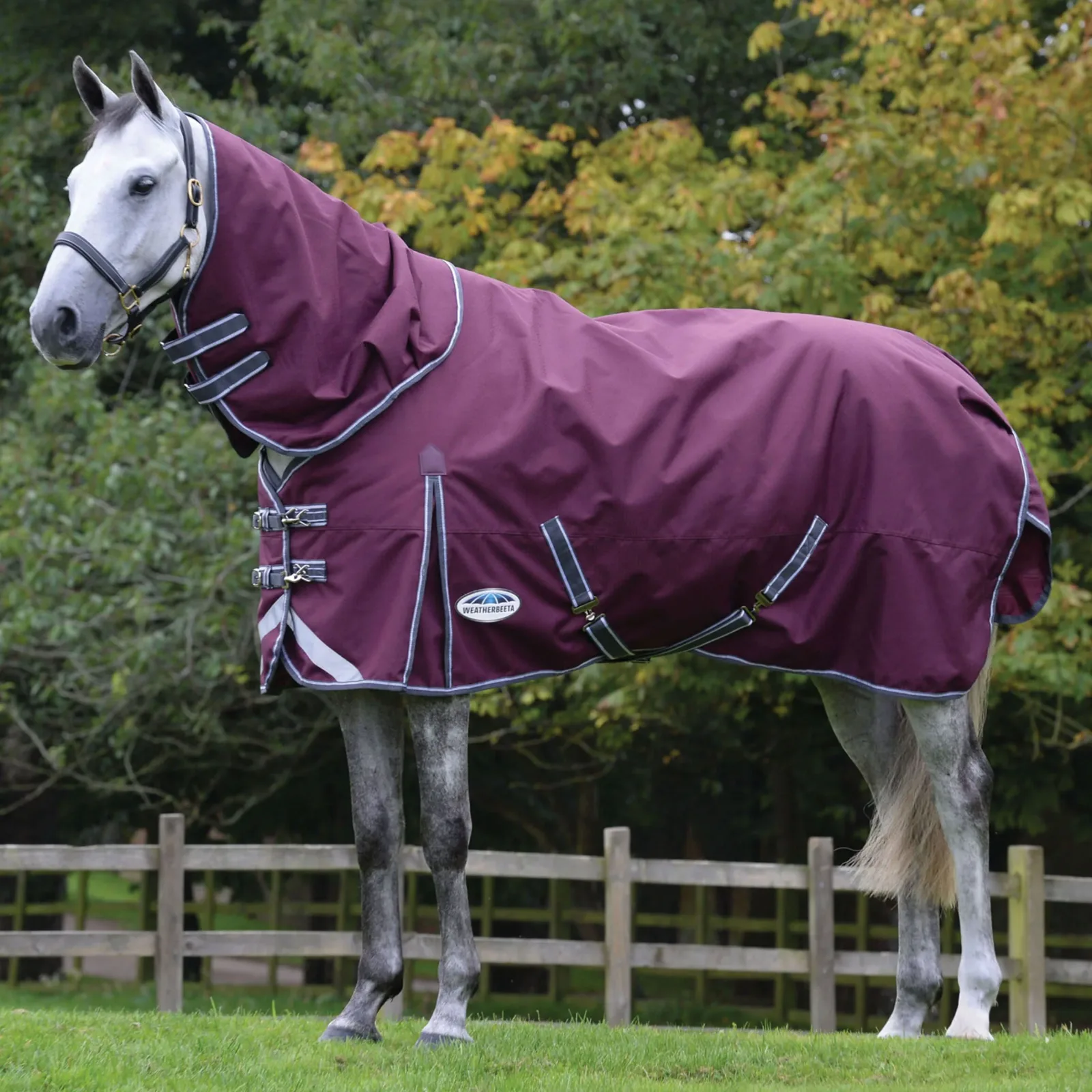 WeatherBeeta® ComFiTec™ Plus Dynamic II Detach-A-Neck Medium-Weight Turnout Blanket