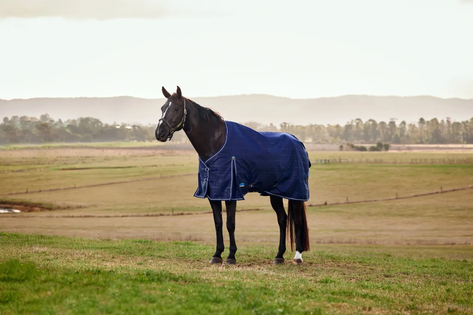 Weatherbeeta ComFiTec Prelim Turnout Standard Neck 0g - Image 2
