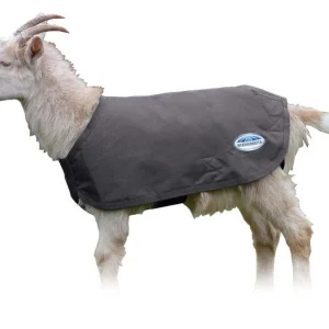 Weatherbeeta Deluxe Goat Coat