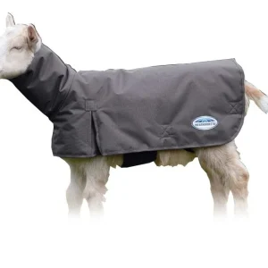 Weatherbeeta Deluxe Goat Coat with Neck