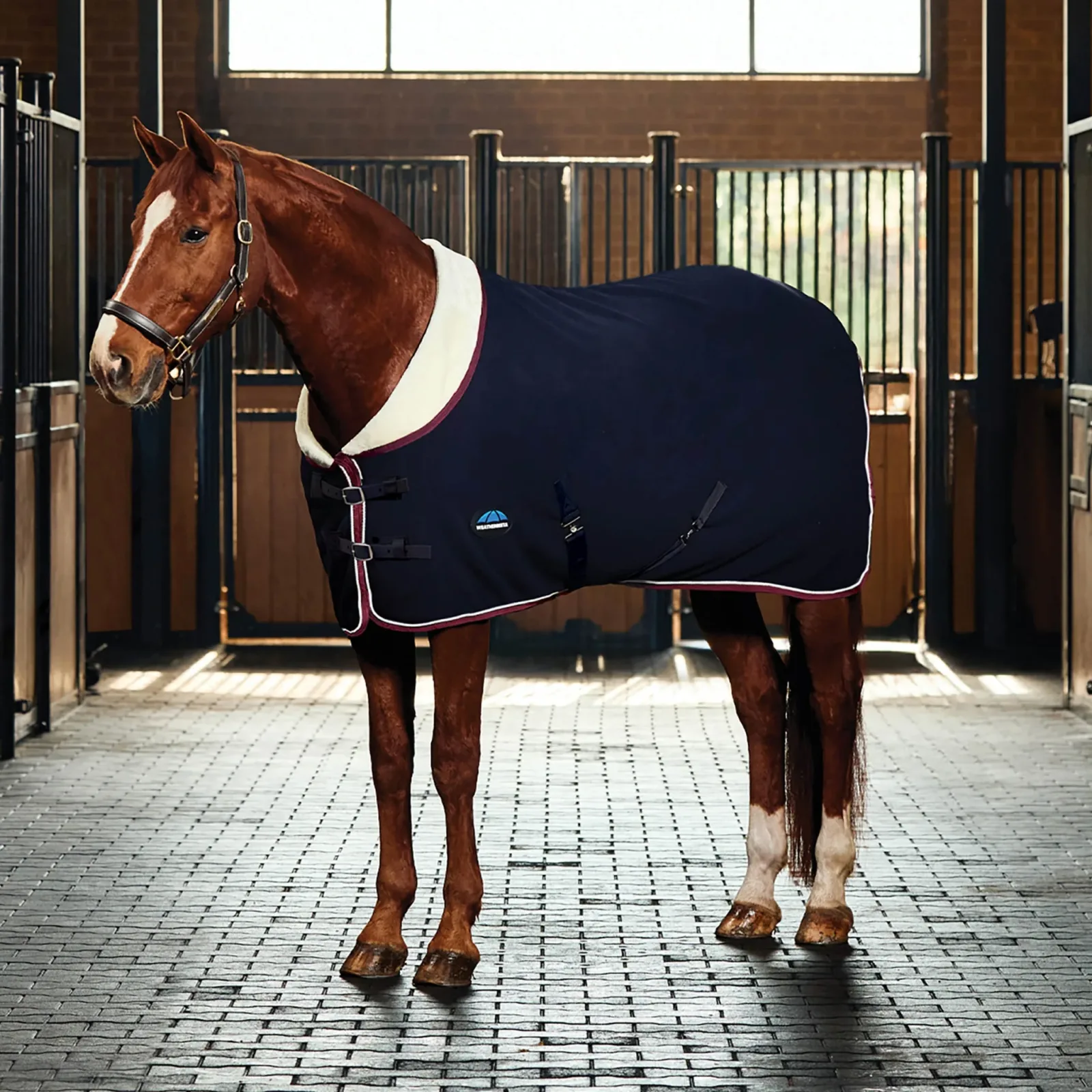Weatherbeeta Elite Fleece Cooler - Image 2