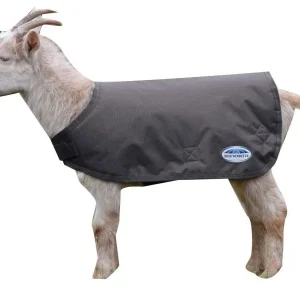 Weatherbeeta Goat Coat