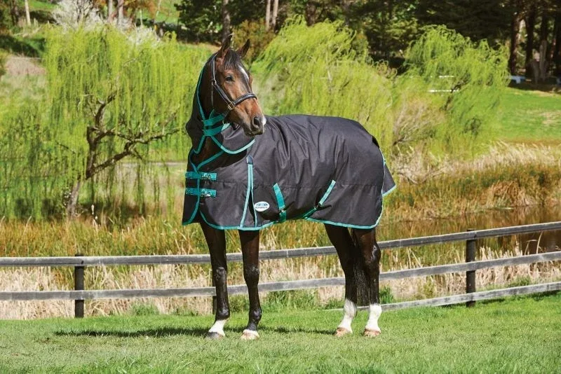 Weatherbeeta Green-Tec 900D Detach-A-Neck Medium Turnout - Image 2