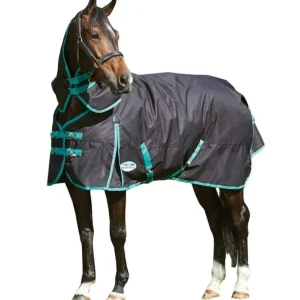 Weatherbeeta Green-Tec 900D Detach-A-Neck Medium Turnout