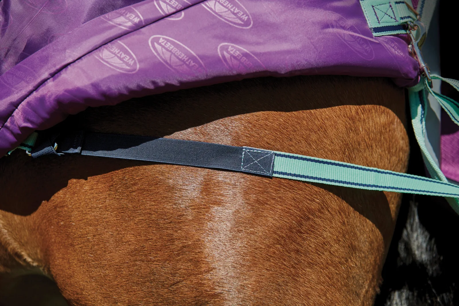 WeatherBeeta® Pony ComFiTec™ Premier Free II Standard Neck Lite Turnout - Image 2