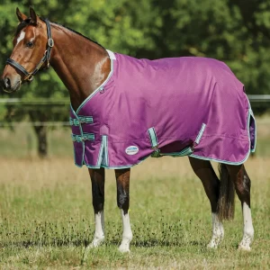 WeatherBeeta® Pony ComFiTec™ Premier Free II Standard Neck Lite Turnout