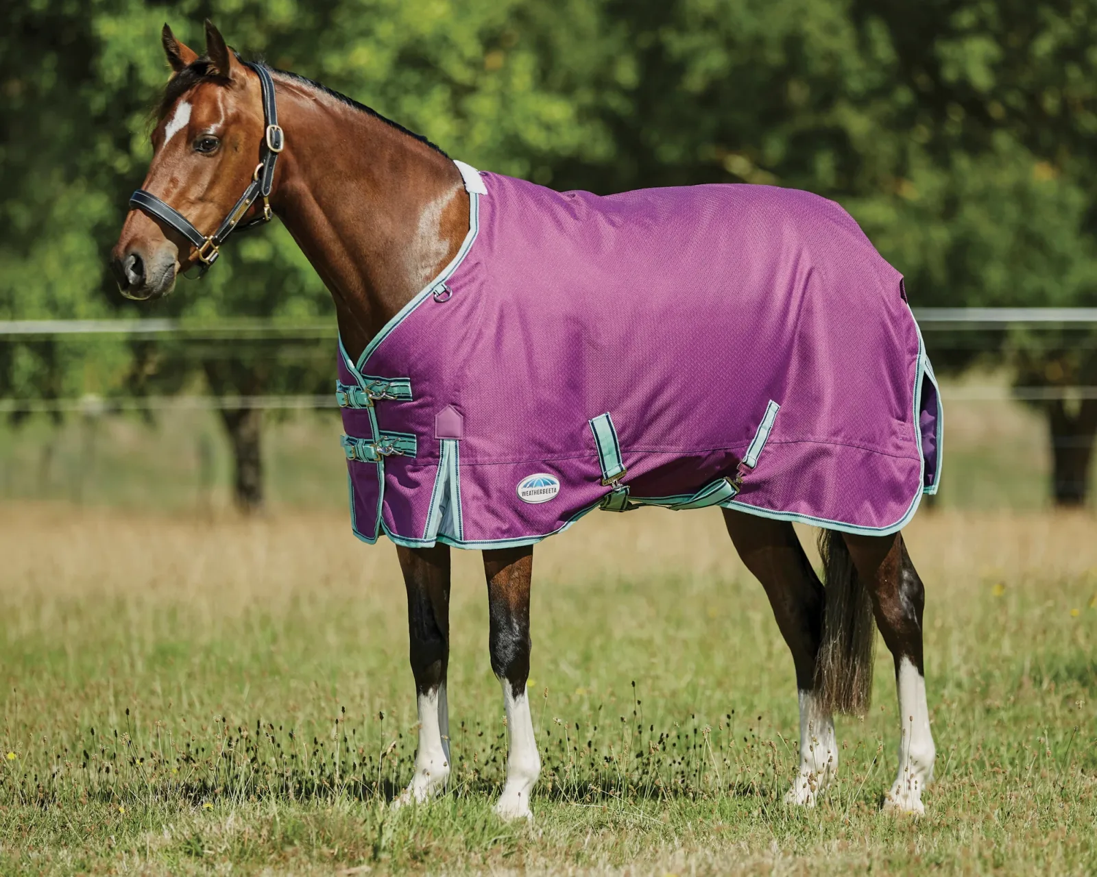 WeatherBeeta® Pony ComFiTec™ Premier Free II Standard Neck Lite Turnout