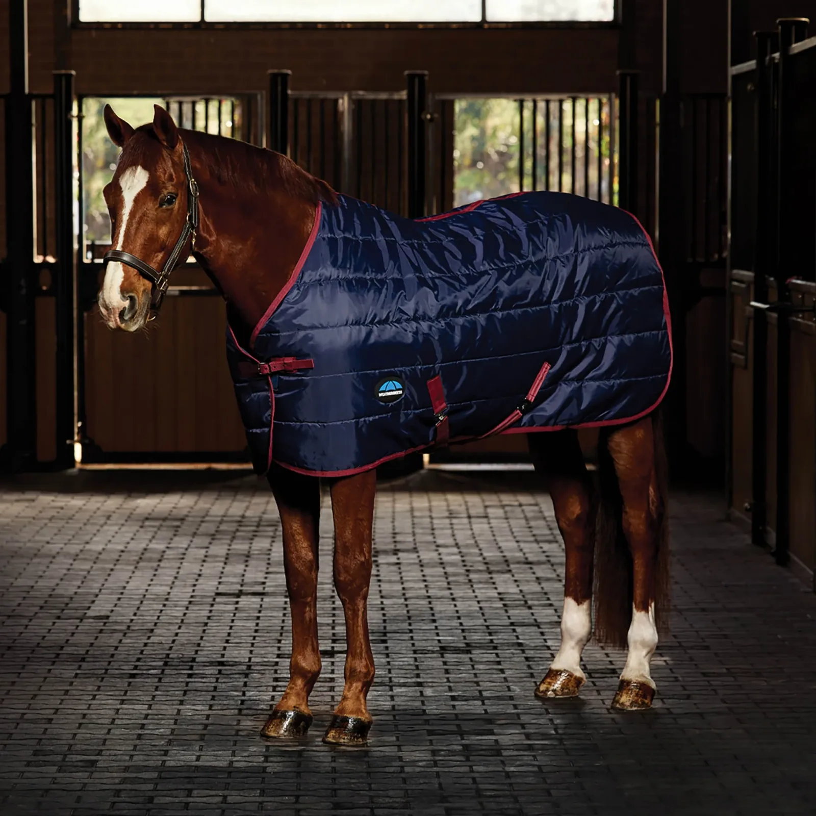 Weatherbeeta Stable Rug 220g - Image 2