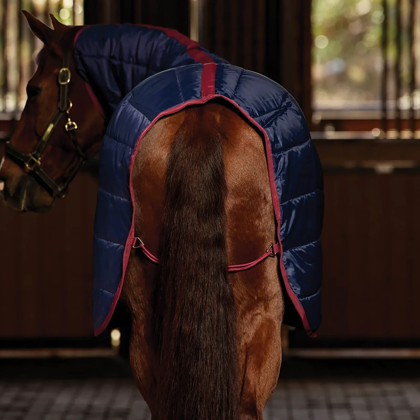 Weatherbeeta Stable Rug Combo 220g - Image 2